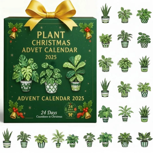 Christmas Gift--2025 Plant Christmas Advent Calendar