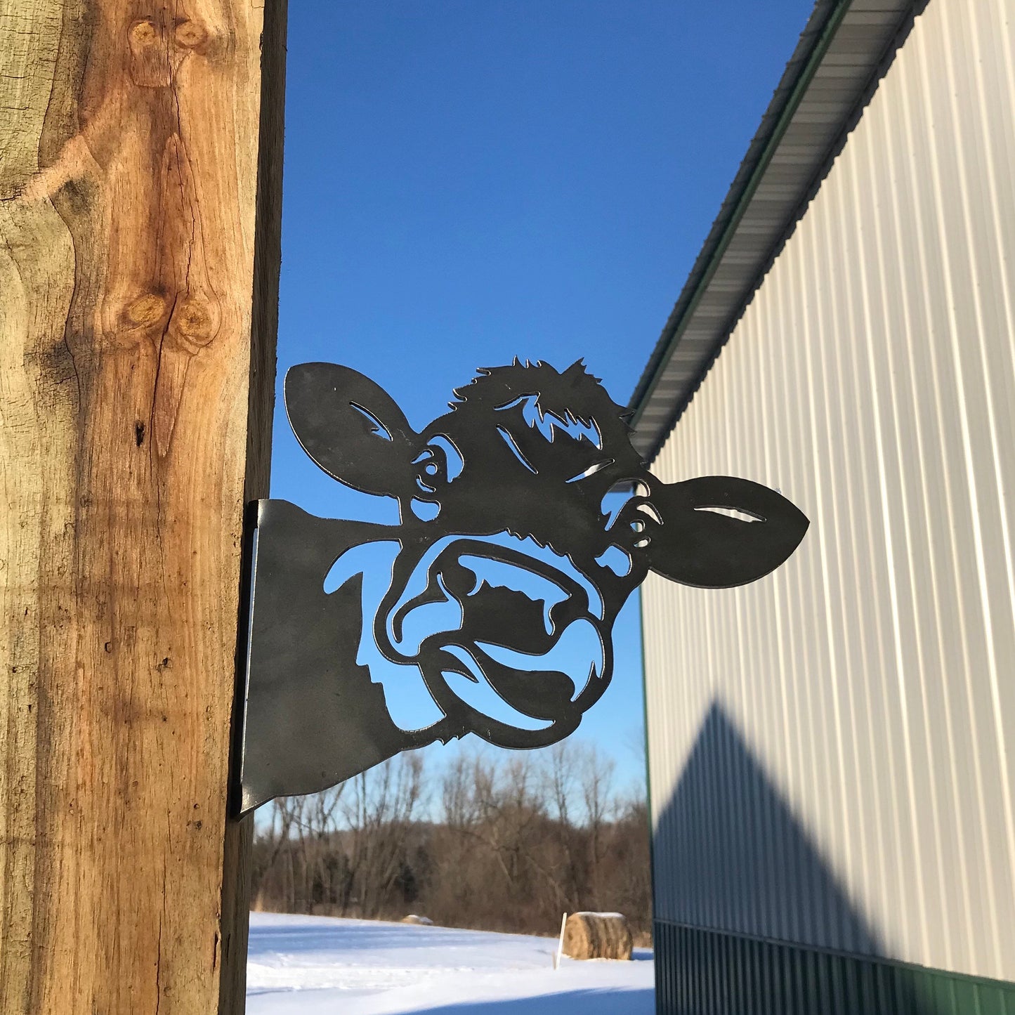 Garden Fence Metal Decoration, Funny Animals