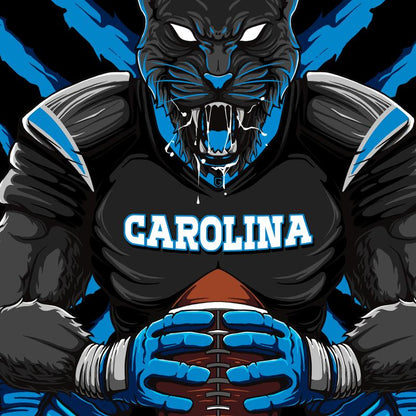 Carolina Football T-Shirt